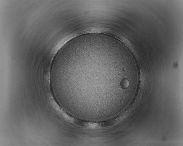 X0000111460794200907201112