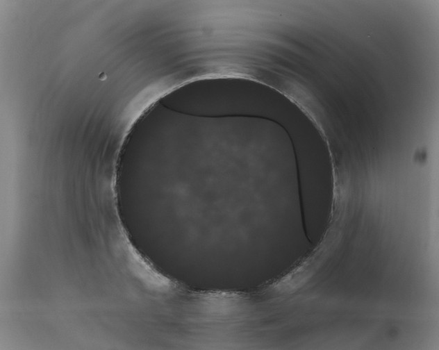 X0000111460797200907201112