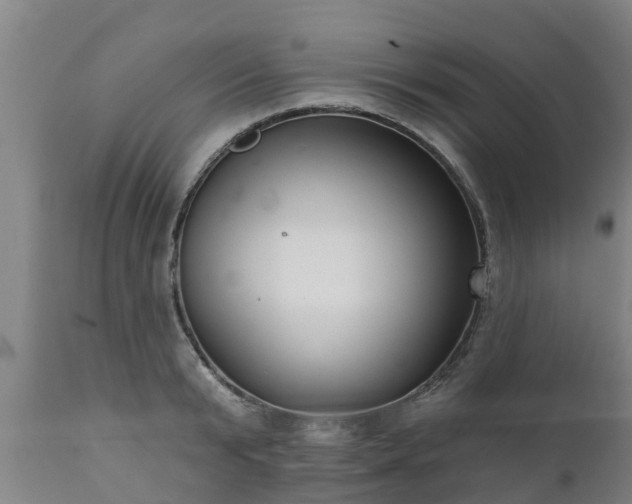 X0000111460799200907201112