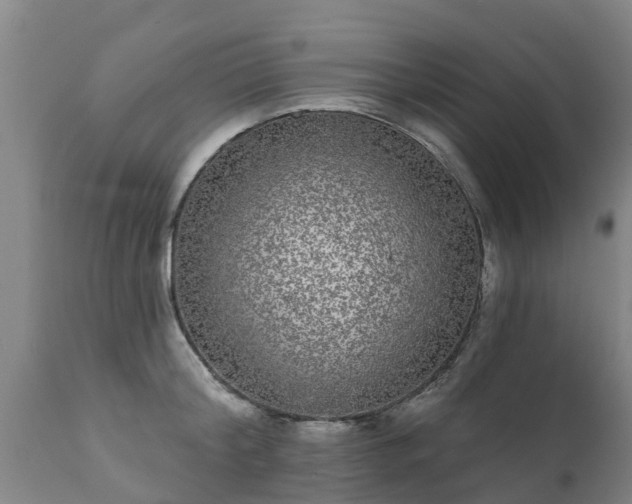 X0000111460804200907201112