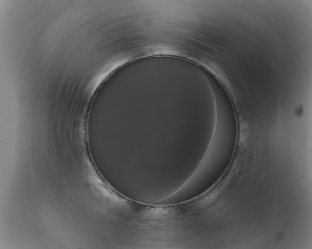 X0000111460806200907201112