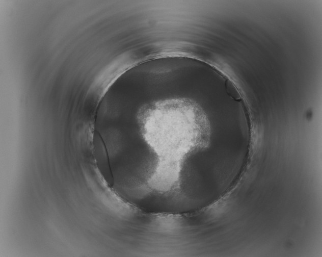 X0000111460809200907201112