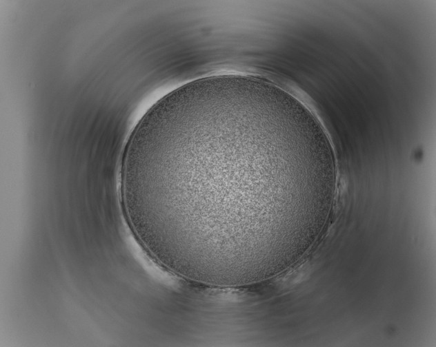 X0000111460811200907201112