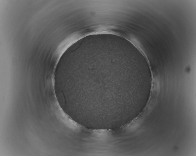 X0000111460813200907201112