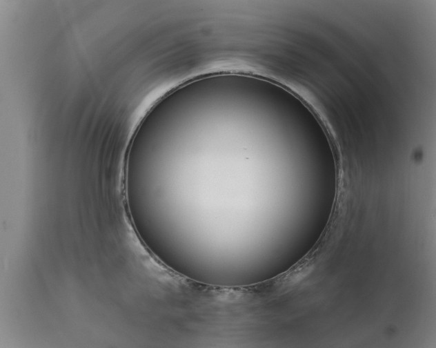 X0000111460815200907201112