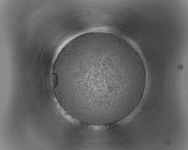 X0000111460816200907201112