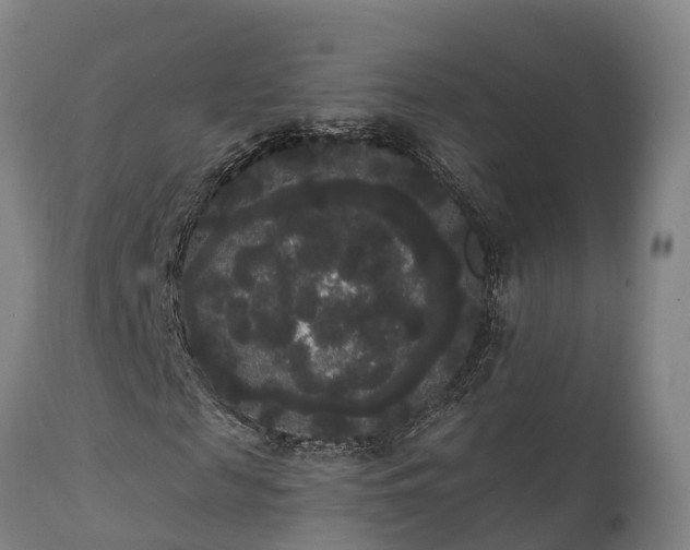 X0000111460817200907201111