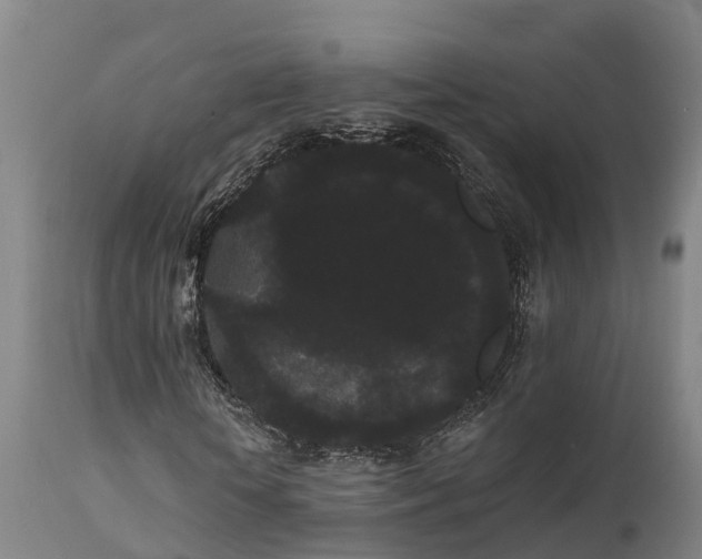 X0000111460818200907201111