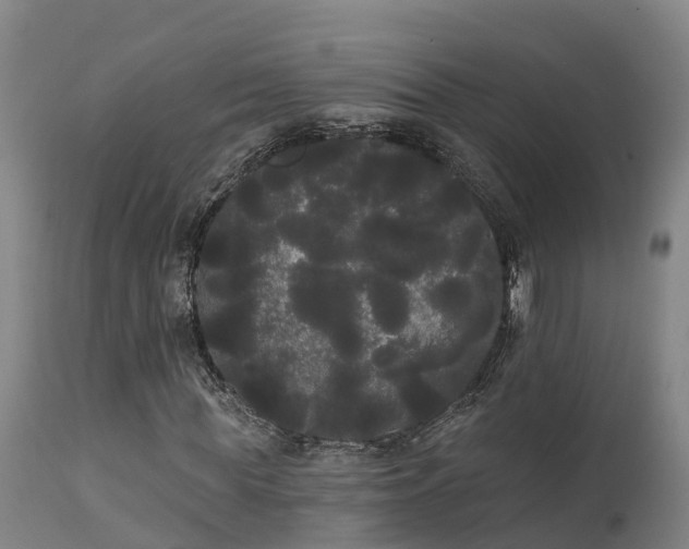 X0000111460819200907201111