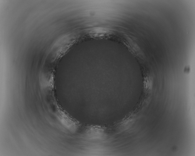 X0000111460820200907201111