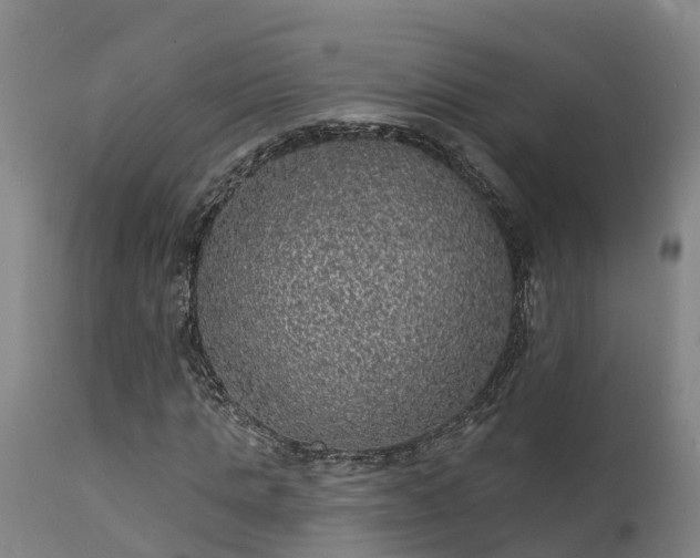 X0000111460821200907201111