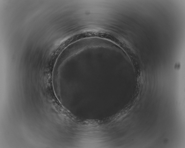 X0000111460822200907201111