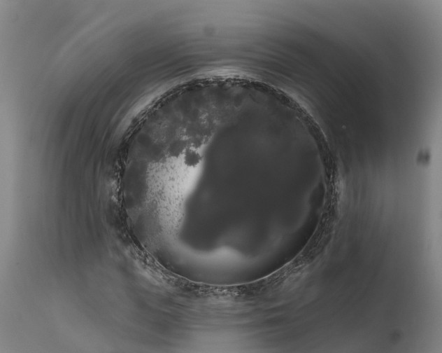 X0000111460823200907201111