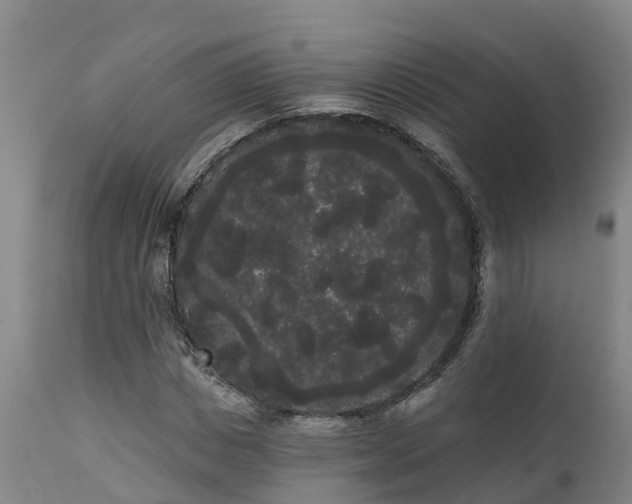 X0000111460825200907201111