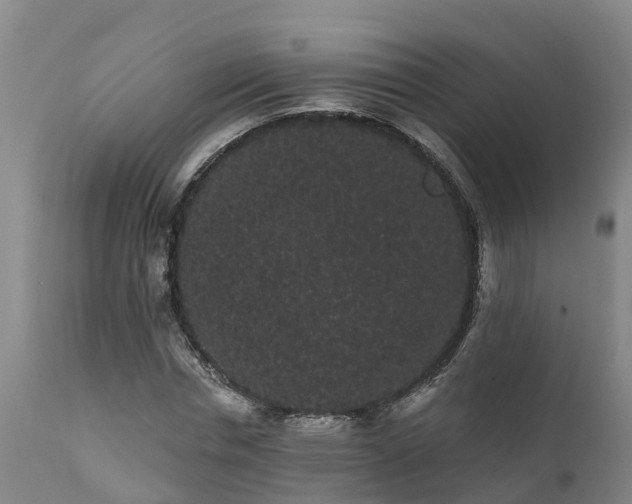 X0000111460826200907201111