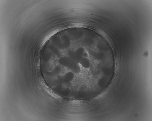 X0000111460827200907201111