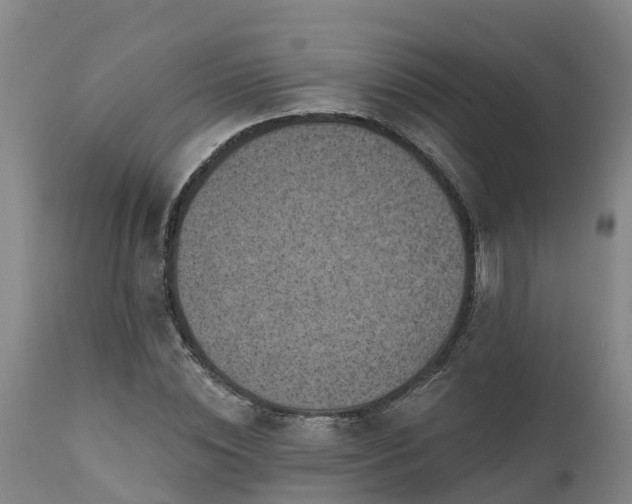 X0000111460828200907201111