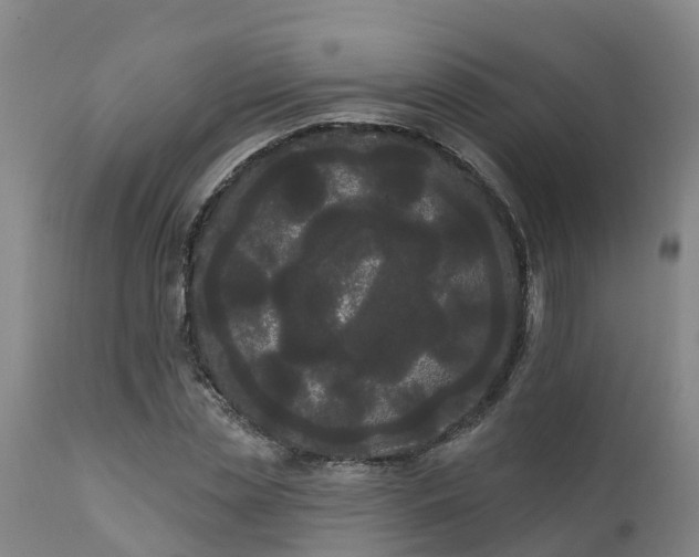 X0000111460829200907201111