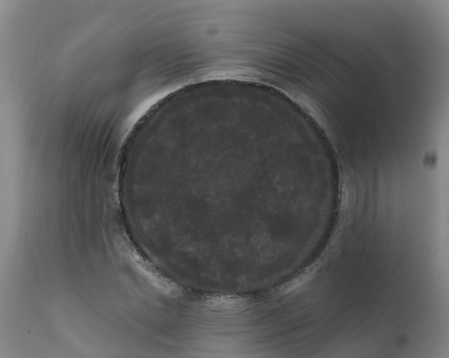 X0000111460830200907201111