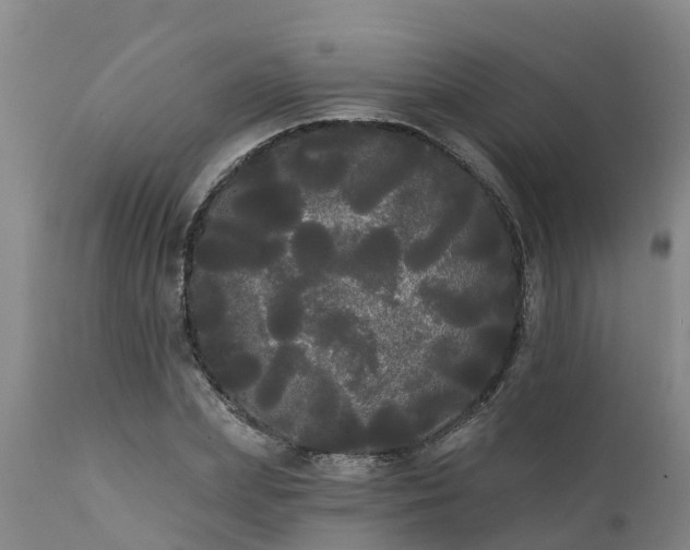 X0000111460831200907201111