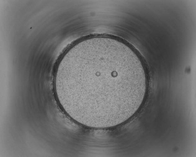 X0000111460832200907201111