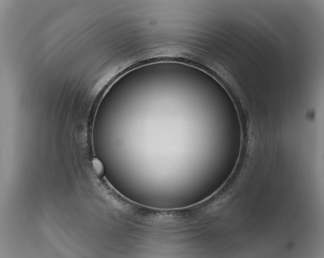 X0000111460834200907201111