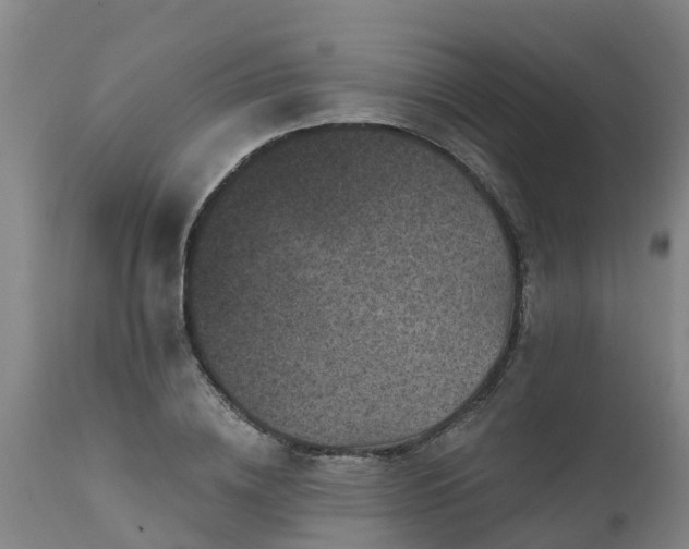 X0000111460836200907201111