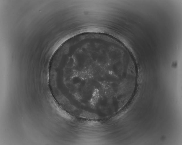 X0000111460837200907201111