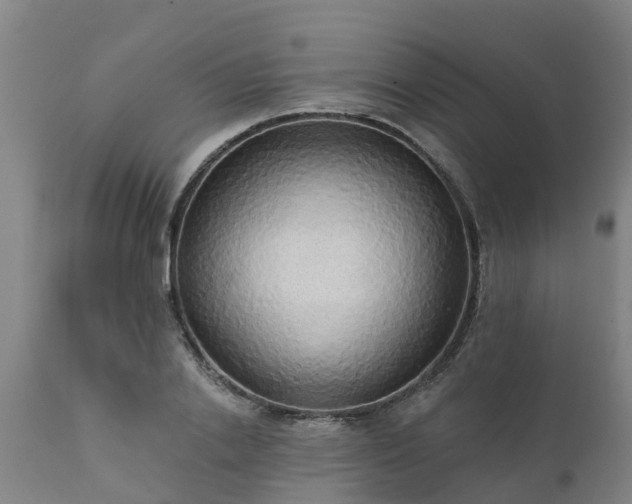 X0000111460838200907201111