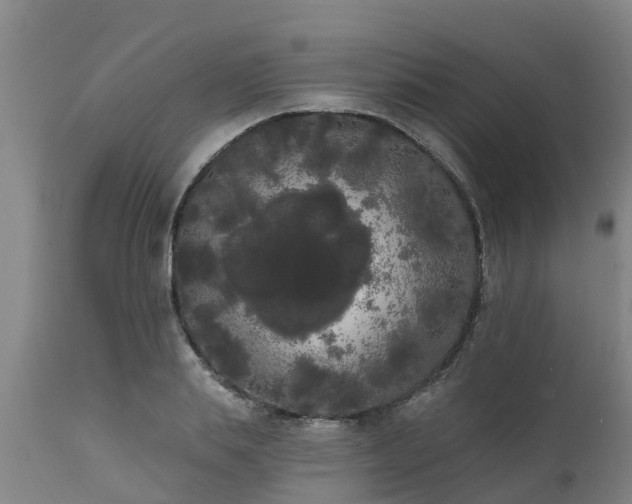 X0000111460839200907201111