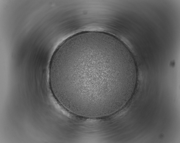 X0000111460840200907201111