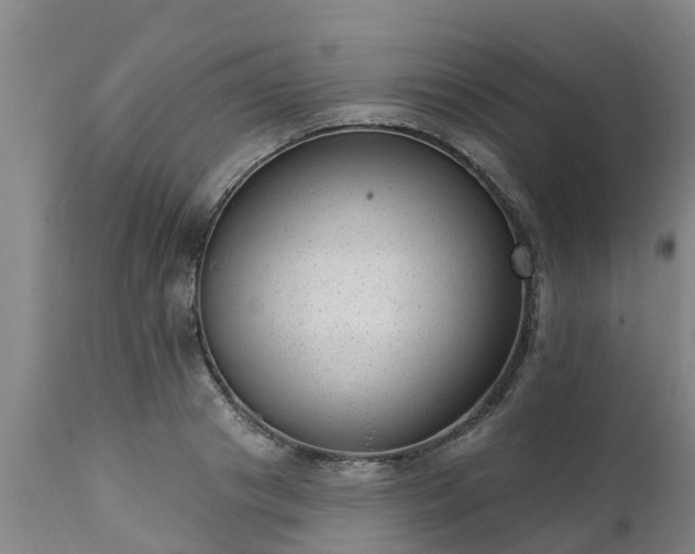 X0000111460841200907201111