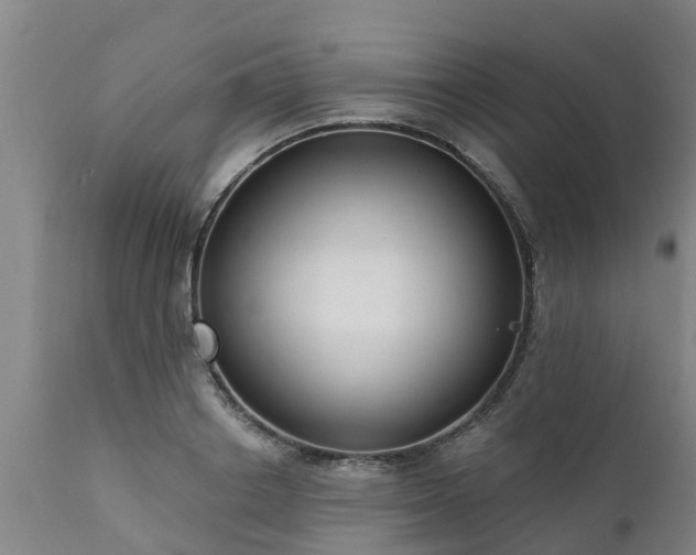 X0000111460842200907201111