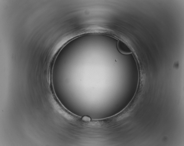 X0000111460843200907201111