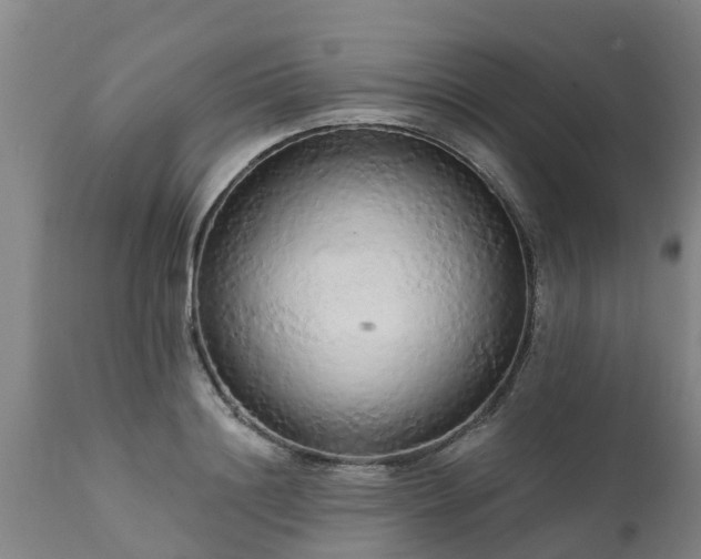 X0000111460844200907201111