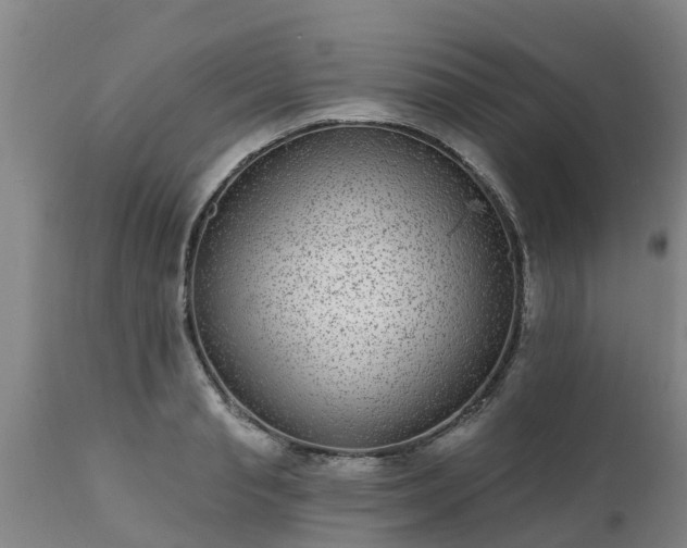 X0000111460845200907201111