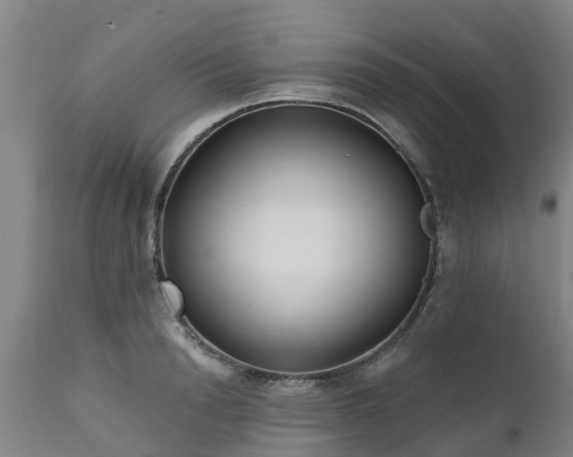 X0000111460846200907201111