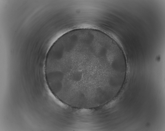 X0000111460847200907201111