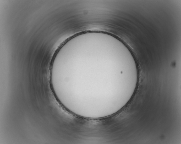 X0000111460848200907201111