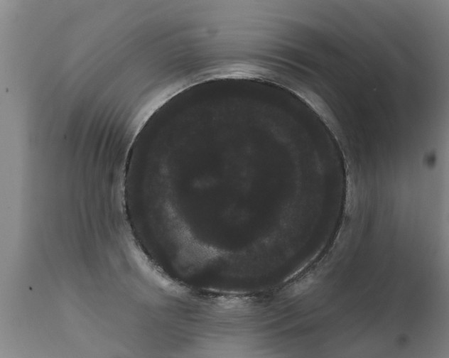 X0000111460850200907201111