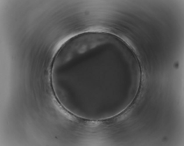 X0000111460854200907201112