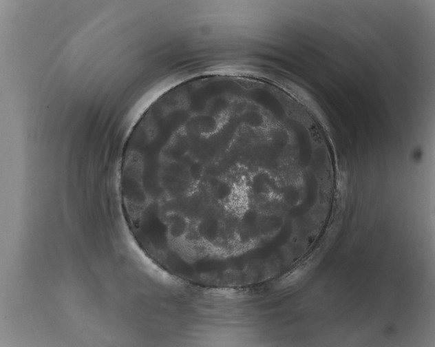 X0000111460855200907201112