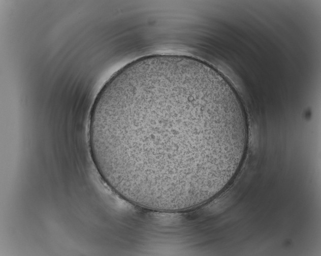 X0000111460856200907201112