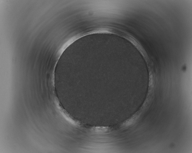 X0000111460858200907201112