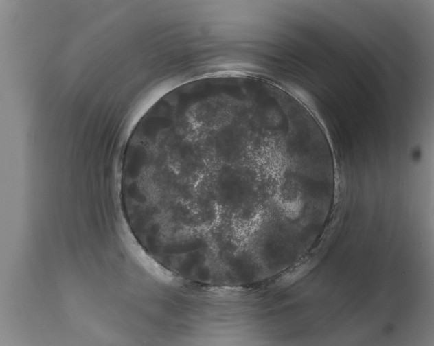 X0000111460859200907201112