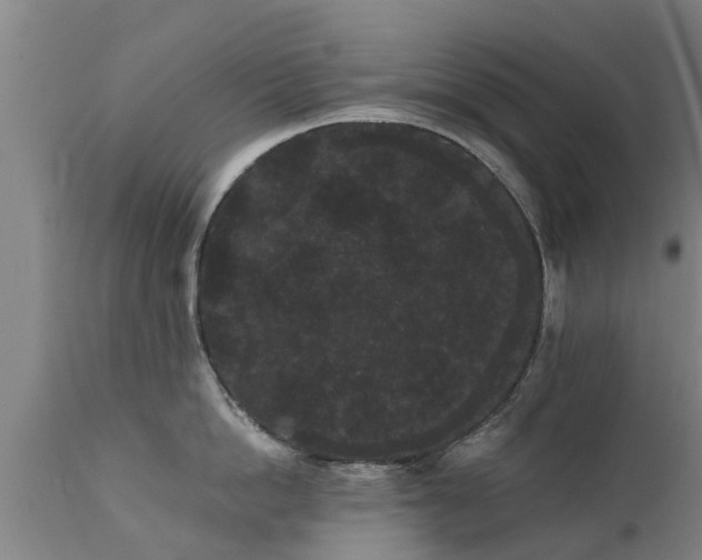 X0000111460862200907201112