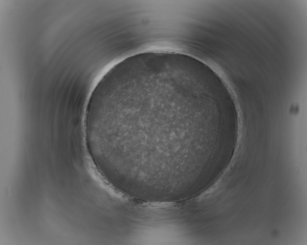 X0000111460864200907201112