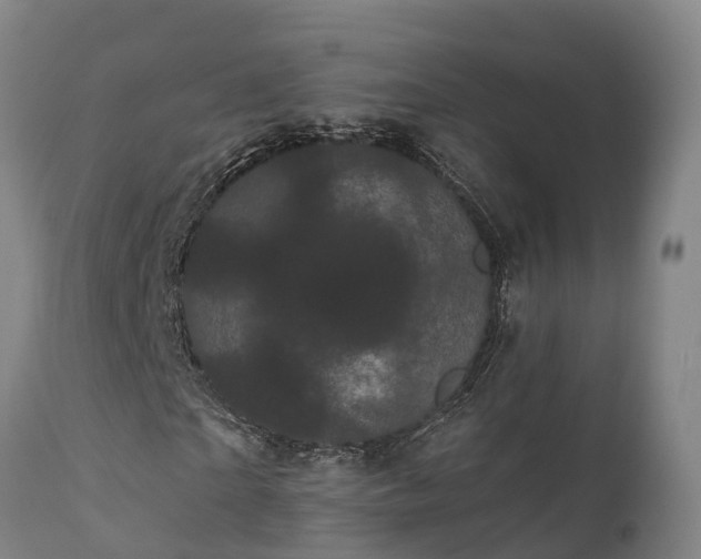 X0000111460865200907201111