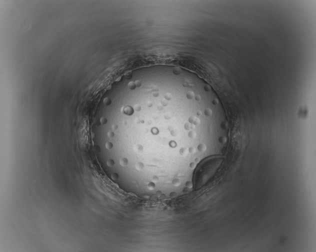 X0000111460866200907201111