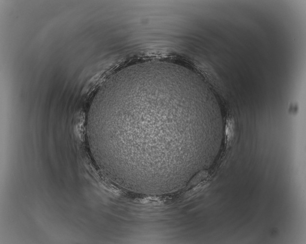 X0000111460867200907201111